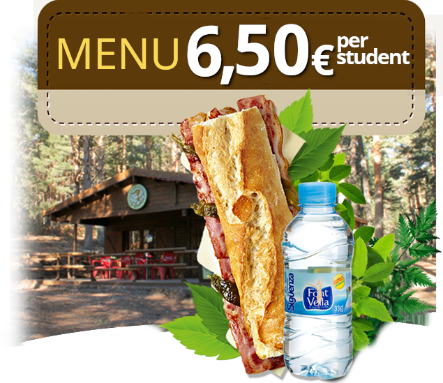 Set Menu per Student