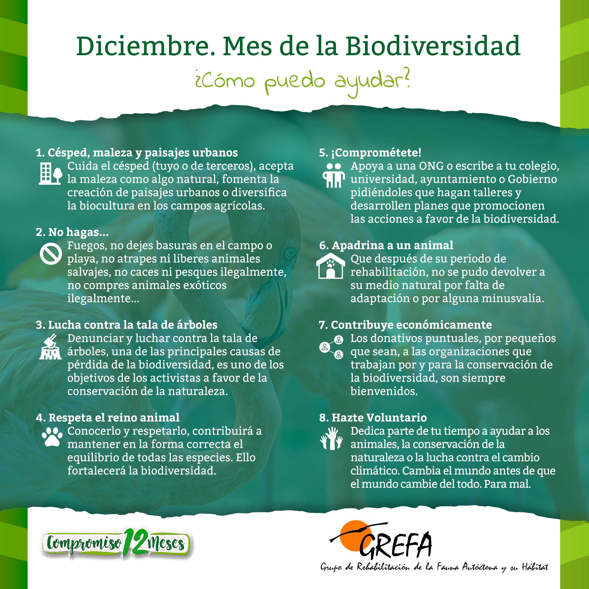 Campaña 12 Causas, Diciembre: biodiversidad