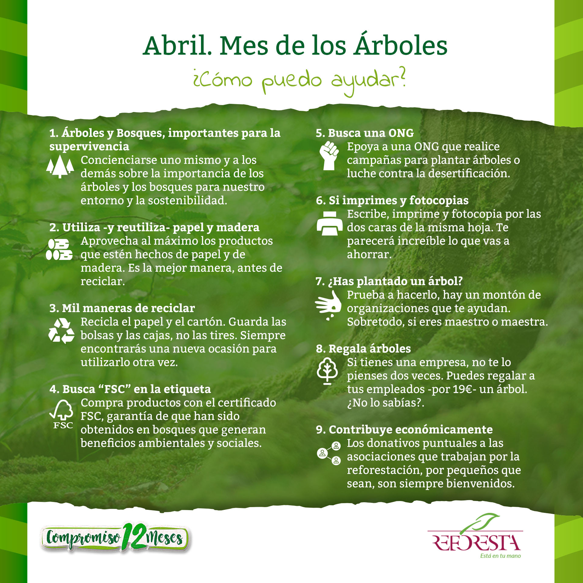 Campaña 12 Causas, Abril: árboles