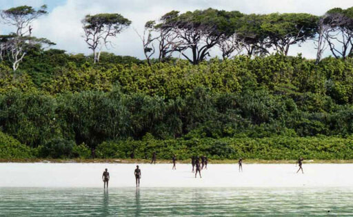 Bosque de la isla North Sentinel