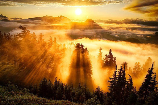 AMANECER_6.jpg