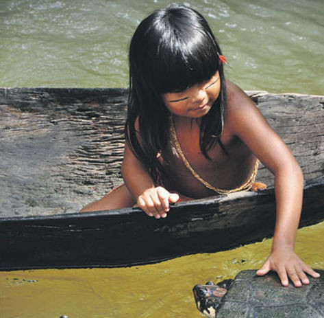 Amazonia Amazonas Voyager Google Earth aventura-amazonia2.jpg