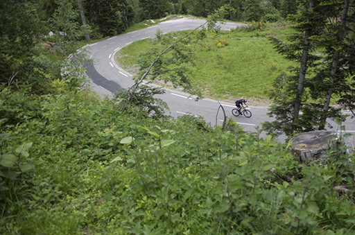 BICI_4.jpg