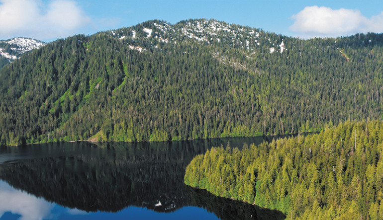 Bosque nacional Tongass Alaska Aventura Amazonia.jpg