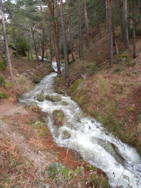 Camino de Schmidt camino de Schmid Valle de Fuenfría Puerto de Navacerrada Sierra de Guadarrama  aventura amazonia6.jpg