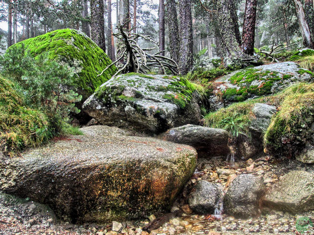 Camino de Schmidt camino de Schmid Valle de Fuenfría Puerto de Navacerrada Sierra de Guadarrama  aventura amazonia7.jpg