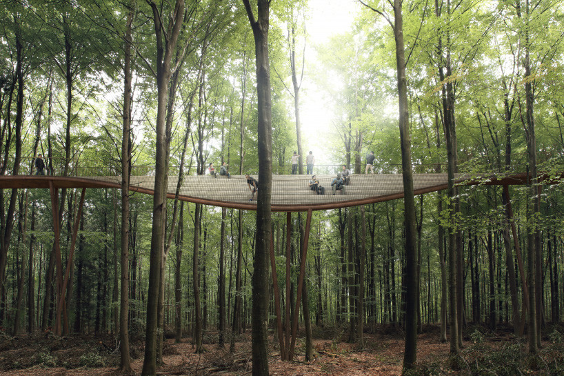 Camp Adventure Treetop Experience Bosque Haslev Aventura Amazonia5.jpg