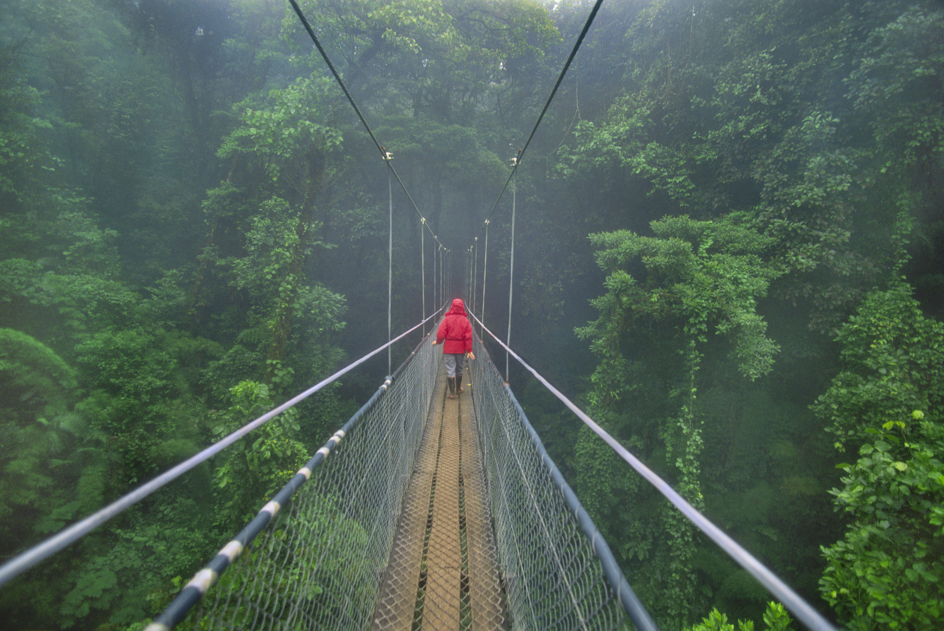 Costa Rica Aventura Amazonia8.jpg
