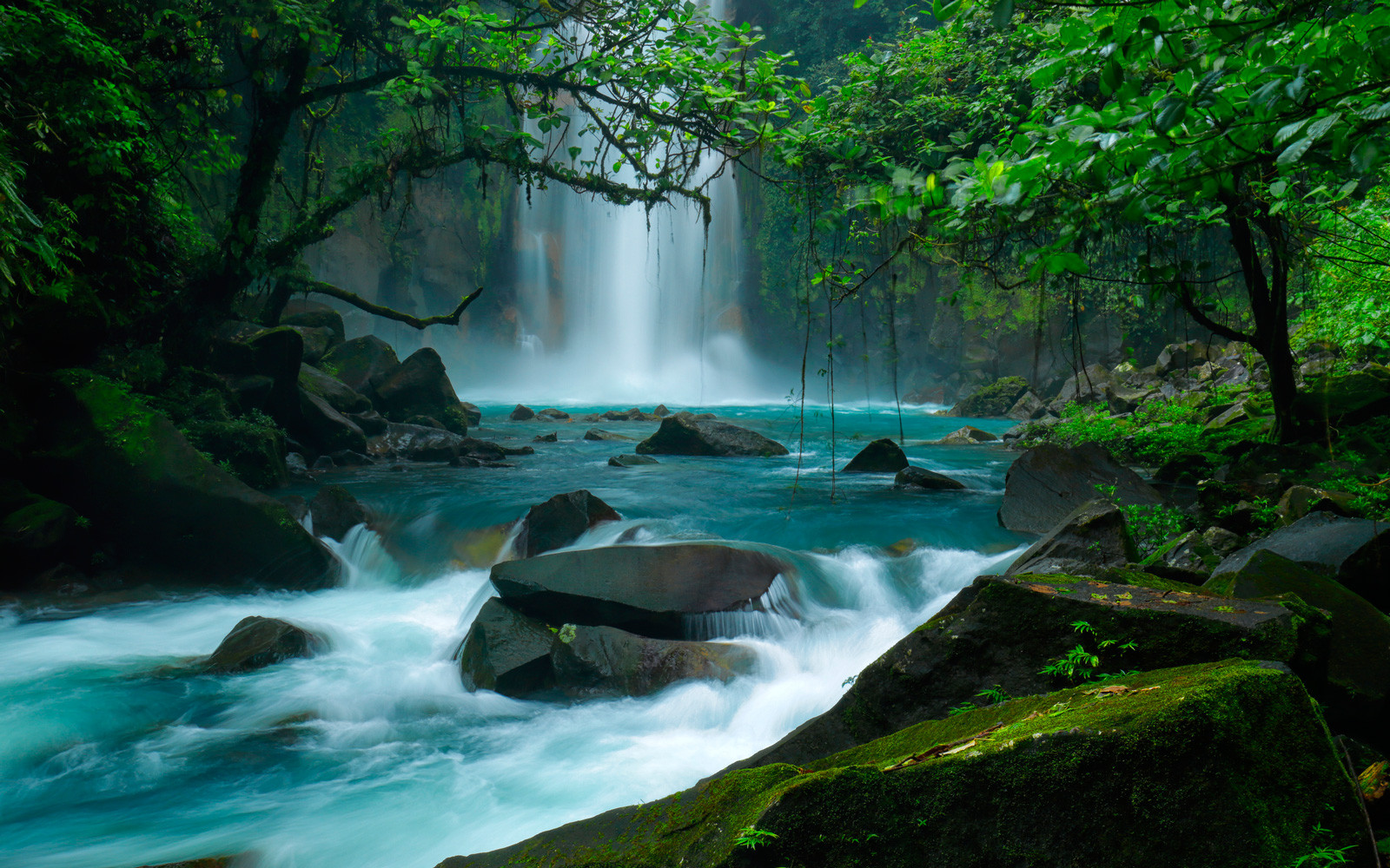 Costa Rica Río Celeste Aventura Amazonia.jpg