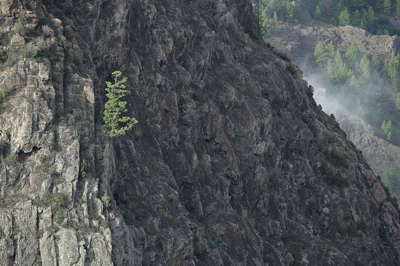 Parque Nacional Garajonay Gomera Islas Canarias Senderismo Roque Agando aventura amazonia2.jpg