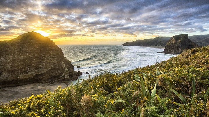 Piha Nueva Zelanda Fernando Rutia Aventura Amazonia.jpg