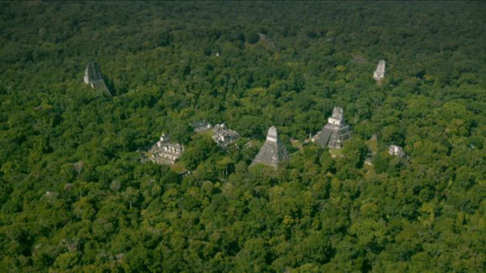 Reserva de la Biosfera Maya Aventura Amazonia3.jpg