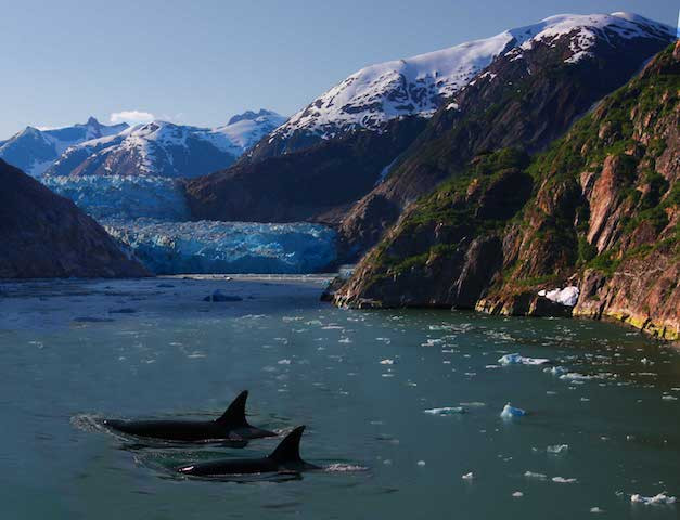 Tracy Arm Alaska Aventura Amazonia.jpg