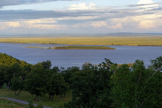 amur.jpg