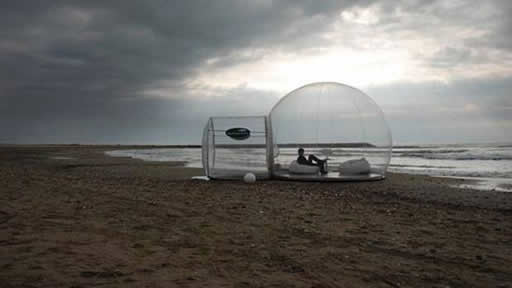 bubble-tree-playa.jpg