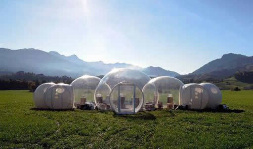 bubble-tree-pradera.jpg