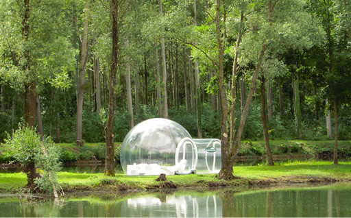 bubble-tree.jpg