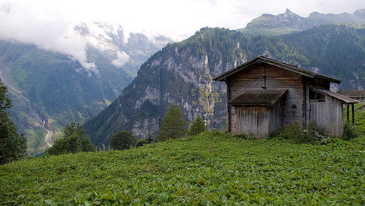 Cabaña en la cima de una colina verde