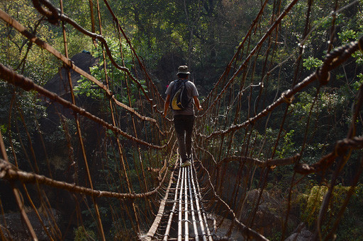 Caminando por un puente de raíces vivientes