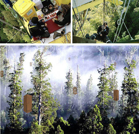 Las casas del árbol más altas del mundo