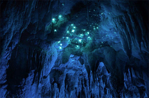 cueva2.jpg