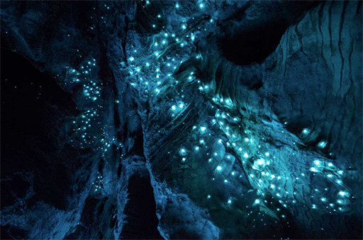 cueva6.jpg