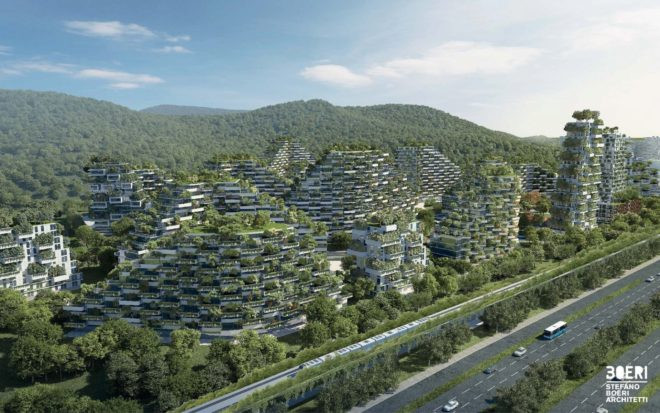 ecoductos puentes verdes ciudades bosque aventura amazonia7.jpg