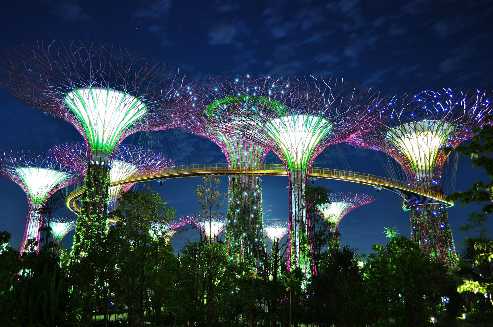 jardines de la bahía Singapur aventura amazonia2.jpg
