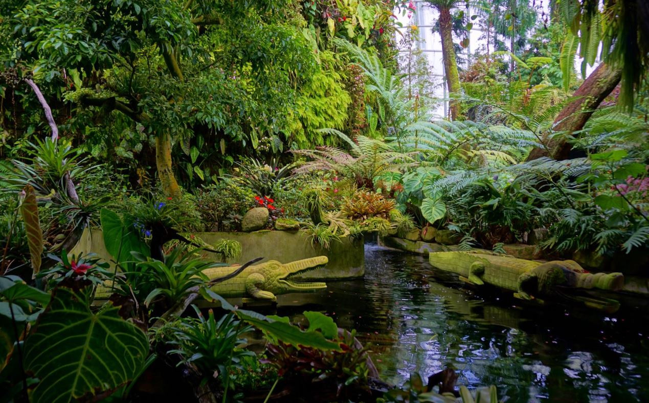 jardines de la bahía Singapur aventura amazonia4.jpg