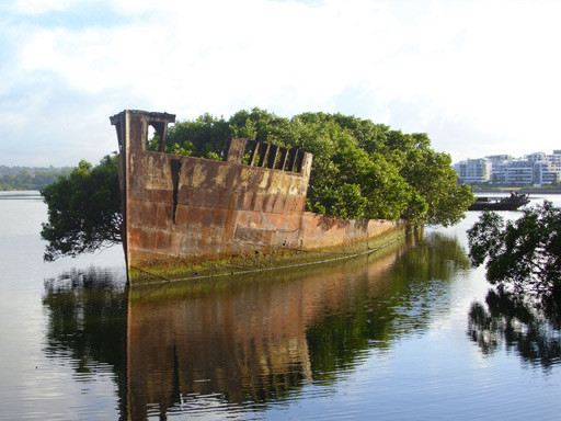 naturaleza-civilizacion (11).jpg