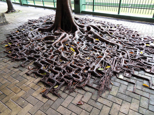 naturaleza-civilizacion (12).jpg