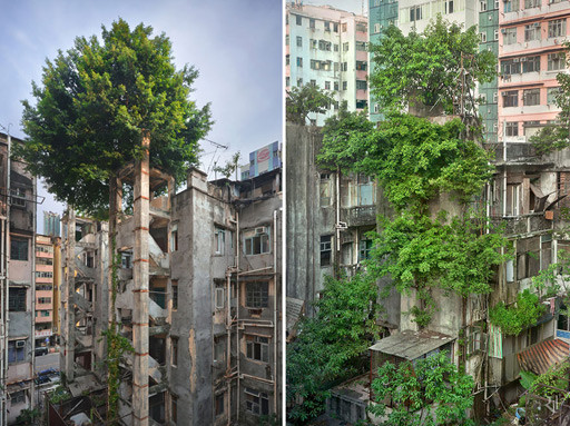 naturaleza-civilizacion (3).jpg
