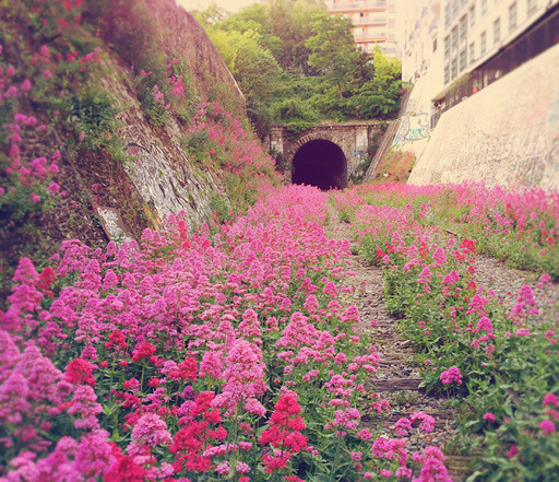naturaleza-civilizacion (4).jpg