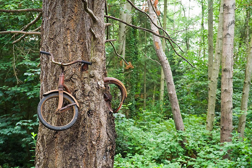 naturaleza-civilizacion (5).jpg