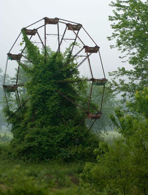 naturaleza-civilizacion (8).jpg