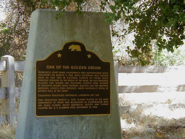 Roble fiebre oro