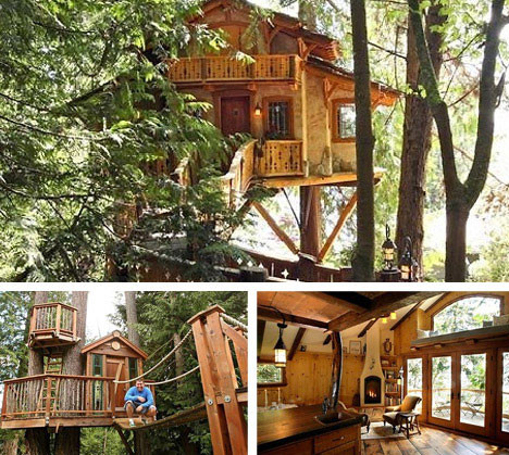 seattle-casas-arbol.jpg