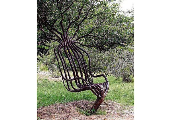 arbol silla peter cook