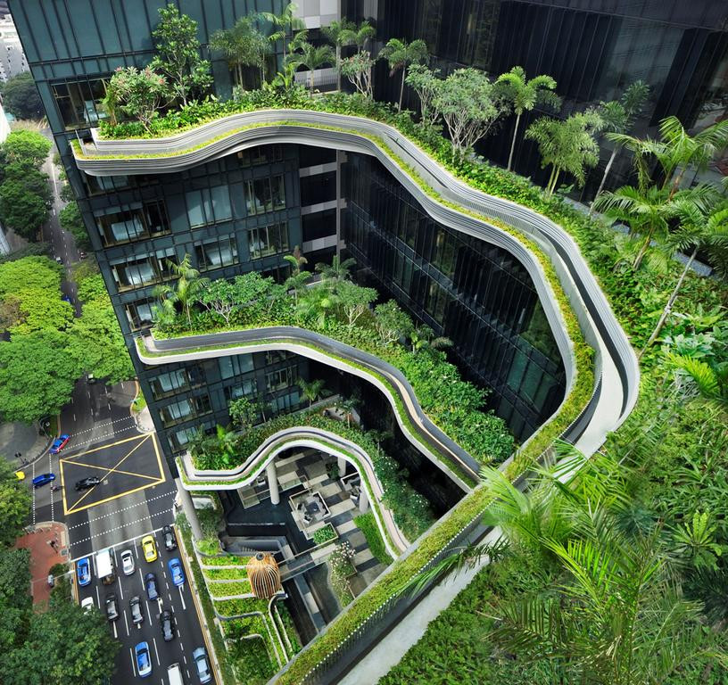 singapur hotel park royal aventura amazonia2.jpg