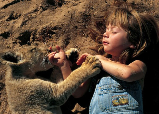 tippi africa durmiendo leon