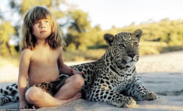 tippi guepardo