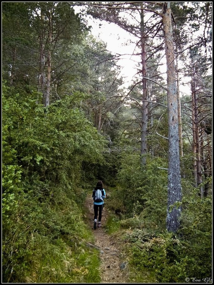 villanúa pirineos aragon senderismo aventura amazonia.jpg
