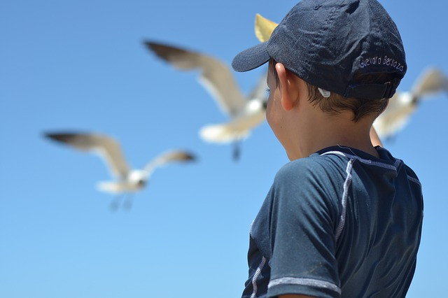 actividades-niños-verano3.jpg