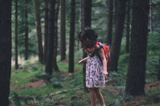 enseñar-amar-naturaleza3.jpg